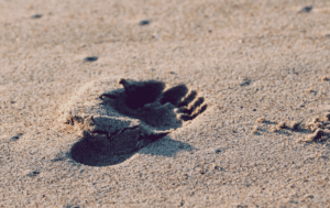 christopher sardegna iRyGmA no2Q unsplash